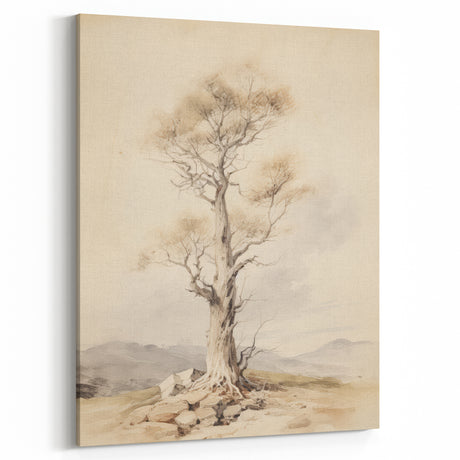 Vintage Botanical Art Prints – Solitary Tree Illustration