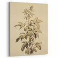 Vintage Botanical Art Prints – Detailed Plant Illustration