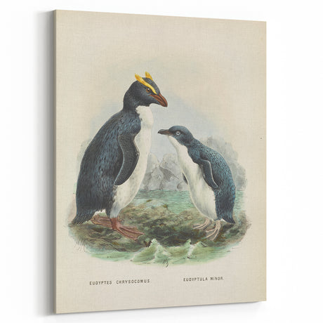 Vintage Animal Art – Penguin Illustration Print – Retro Animal Wall Decor