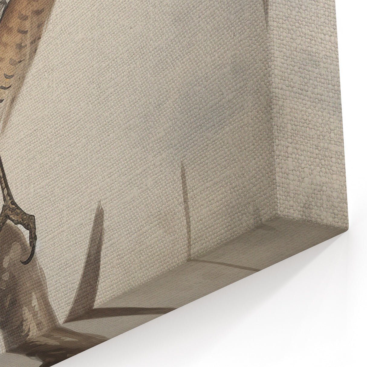 Timeless Vintage Animal Art: Bird Illustration Print for Home