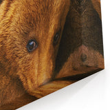 2010s Movie Poster Art – Vintage Bears Documentary Retro Wall Print