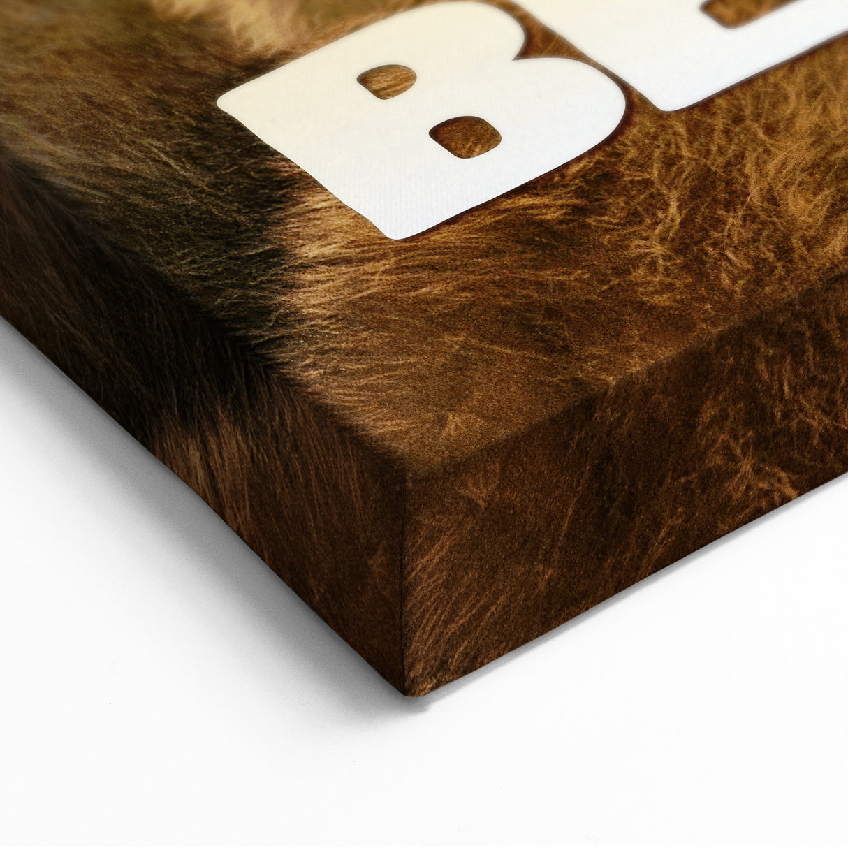 2010s Movie Poster Art – Vintage Bears Documentary Retro Wall Print