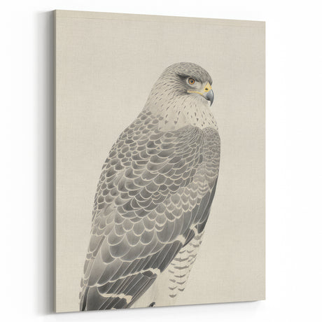 Vintage Animal Art - Falcon Illustration Print for Home Decor