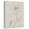 Vintage Botanical Art Prints - Antique Floral Illustration