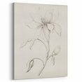 Vintage Botanical Art Prints - Antique Floral Illustration