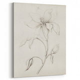 Vintage Botanical Art Prints - Antique Floral Illustration