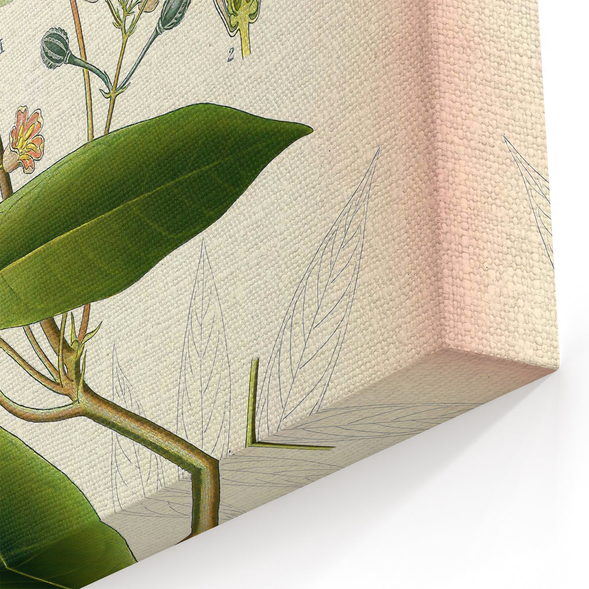 Vintage Botanical Art Prints: Elegant Floral Bouquet