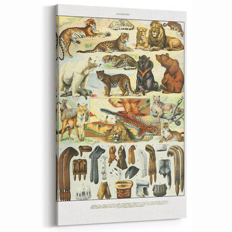 Vintage Animal Art - Fur-Coated Animals Illustration Print for Home Decor