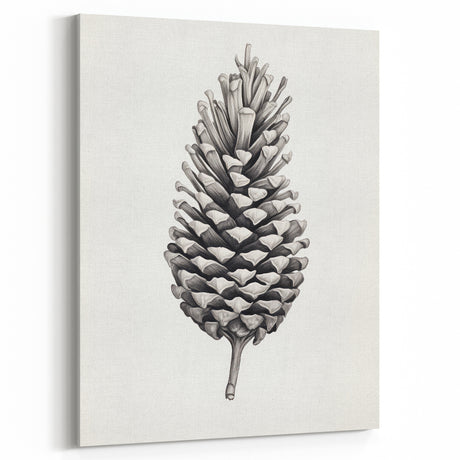 Vintage Botanical Art Prints – Black and White Pinecone Illustration