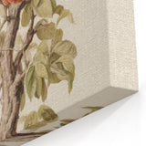 Vintage Botanical Art Prints – Apple Tree Illustration with Red Fruit