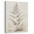 Vintage Botanical Art Prints – Fern Illustration in Black and White