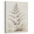 Vintage Botanical Art Prints – Fern Illustration in Black and White