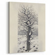 Vintage Botanical Art Prints – Snowy Tree Illustration in Black and White