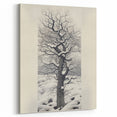 Vintage Botanical Art Prints – Snowy Tree Illustration in Black and White