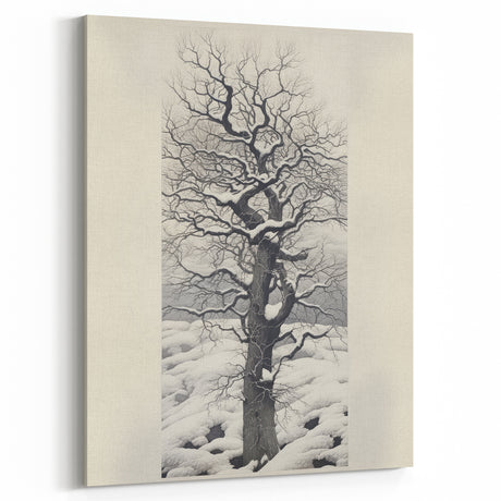 Vintage Botanical Art Prints – Snowy Tree Illustration in Black and White