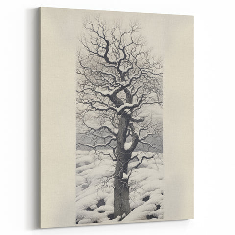 Vintage Botanical Art Prints – Snowy Tree Illustration in Black and White
