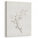 Vintage Botanical Art Prints – Black and White Branch Illustration