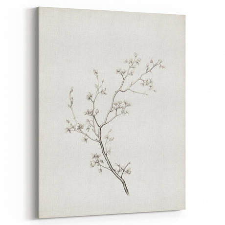 Vintage Botanical Art Prints – Black and White Branch Illustration
