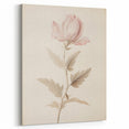 Vintage Botanical Art Prints – Soft Pink Flower Illustration