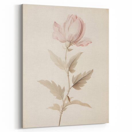 Vintage Botanical Art Prints – Soft Pink Flower Illustration
