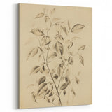 Vintage Botanical Art Prints: Soft Leaves in Beige