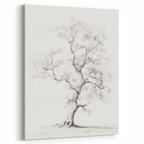 Vintage Botanical Art Prints – Pencil Tree Illustration