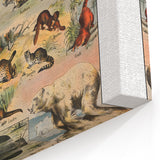 Vintage Animal Art: Timeless Wildlife Illustration Prints