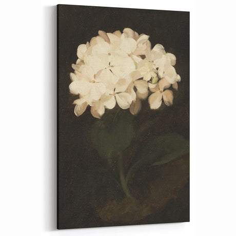 Vintage Botanical Art Prints –  Modern Floral Illustration Wall Decor