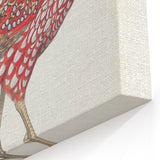 Vintage Animal Art - Chinese Horned Pheasant Illustration Print
