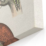 Vintage Animal Art: Almorah & Rufus Woodpecker Illustration Print