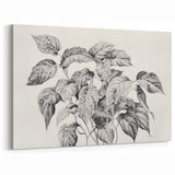 Vintage Botanical Art Prints - Black and White Plant Illustration