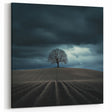 Dramatic Storm Tree – Moody Landscape & Nature Art Prints