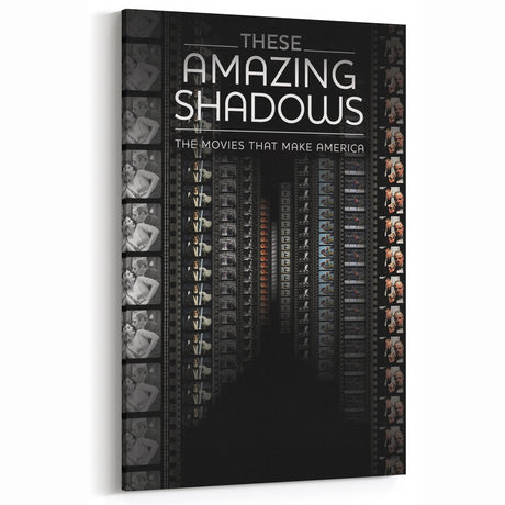 2010s Movie Poster Art - These Amazing Shadows Vintage Print