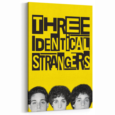 2010s Movie Poster Art - Three Identical Strangers Vintage Print