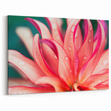 Dahlia Flower Macro - Fine Art Photography Limited Edition Prints