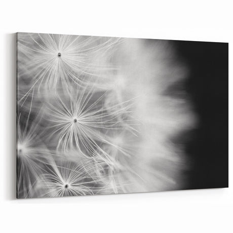 Dandelion Macro Art - Fine Art Photography Framed Prints