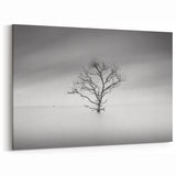 Solitary Tree in Water - Fine Art Photography Acrylic Prints