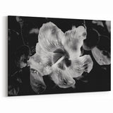 Hibiscus in Monochrome - Fine Art Photography Canvas Prints