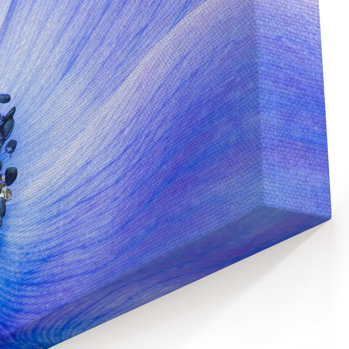 Blue Anemone Macro - Fine Art Photography Acrylic Prints