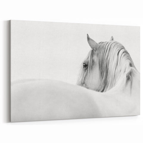Elegant White Horse - Fine Art Photography Framed Prints