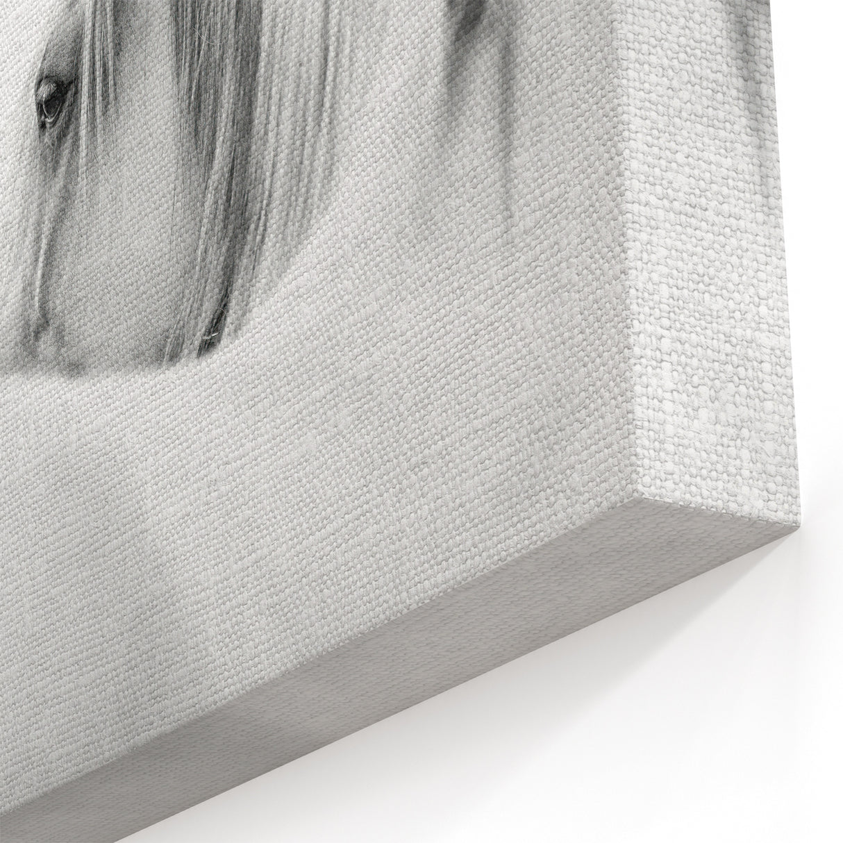 Elegant White Horse - Fine Art Photography Framed Prints