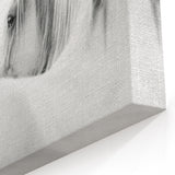 Elegant White Horse - Fine Art Photography Framed Prints