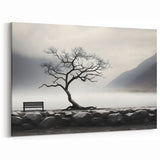 Misty Lake Bench - Fine Art Photography Framed Prints