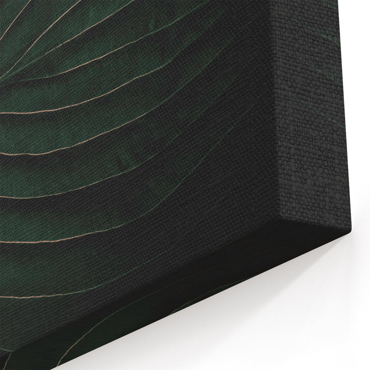 Botanical Elegance - Fine Art Green Leaf Photography Print