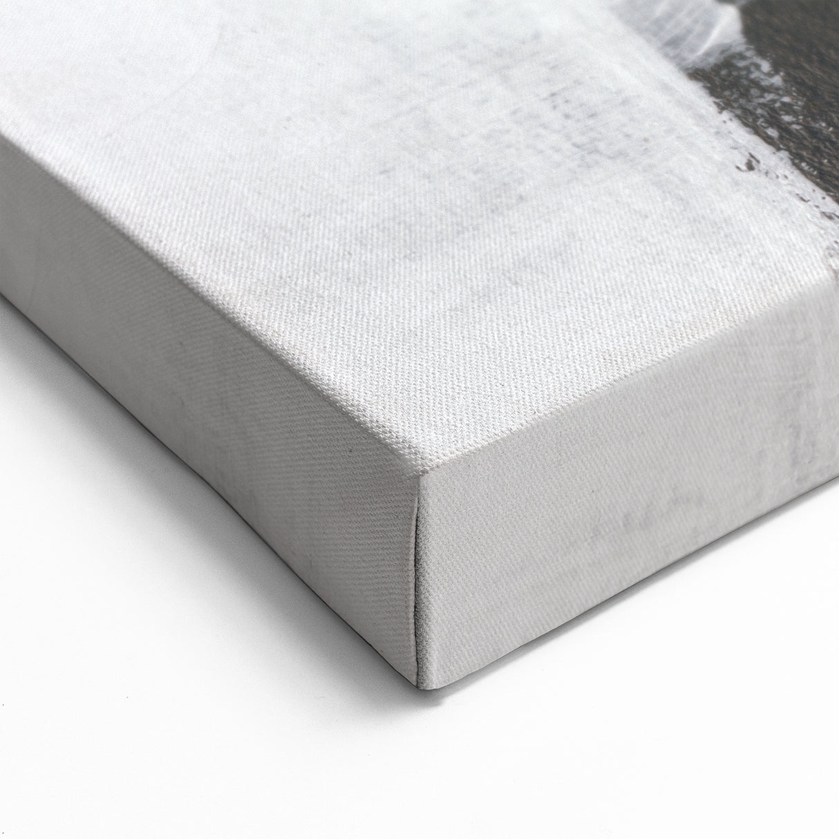 Earthen Harmony Abstracts - Black and White Wall Art