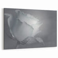 Modern Art Prints – Elegant Black & White Floral Wall Art