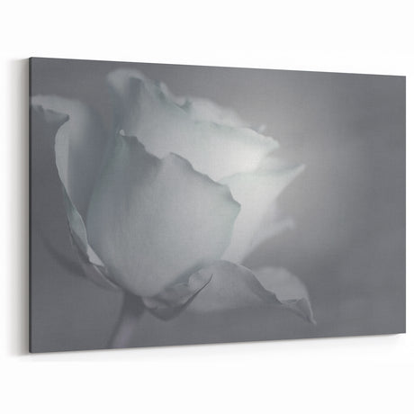 Modern Art Prints – Elegant Black & White Floral Wall Art