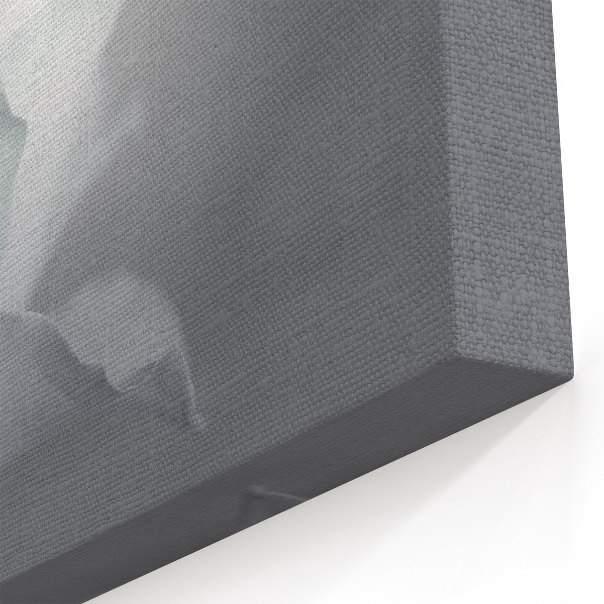 Modern Art Prints – Elegant Black & White Floral Wall Art