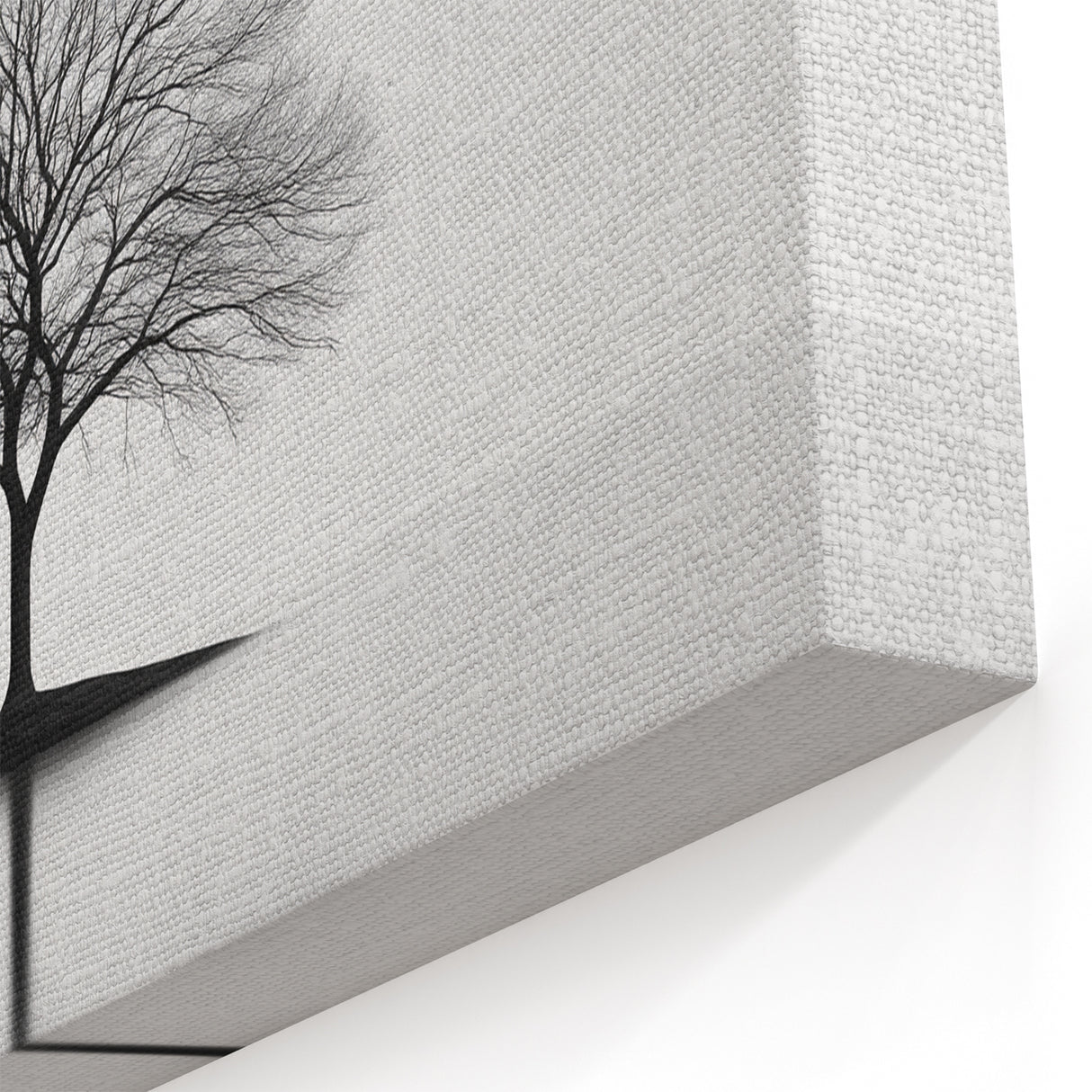 Minimalist Black & White Tree – Elegant Nature Art Print