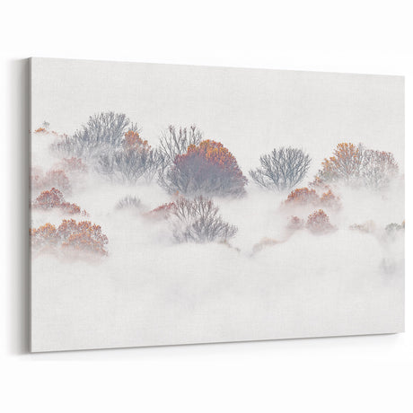 Misty Autumn – Fine Art Photography of Trees in Morning Fog